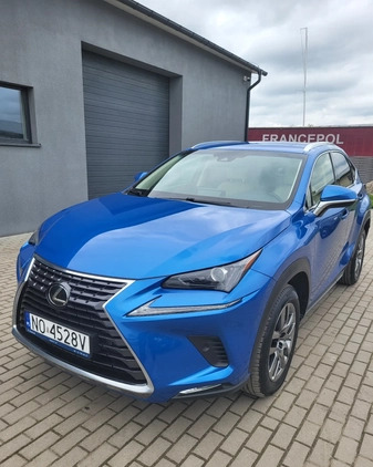 Lexus NX cena 130000 przebieg: 111450, rok produkcji 2017 z Iława małe 211